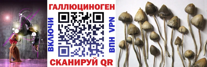 Псилоцибиновые грибы GOLDEN TEACHER Барабинск