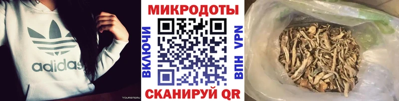 Купить закладки  Барабинск  Галлюциногенные грибы Magic Shrooms 